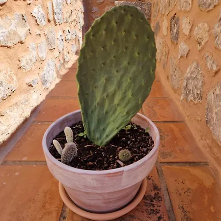 Krialianika House 2 Daire *