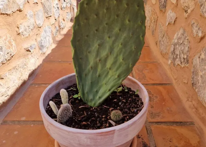 Krialianika House 2 Διαμέρισμα *